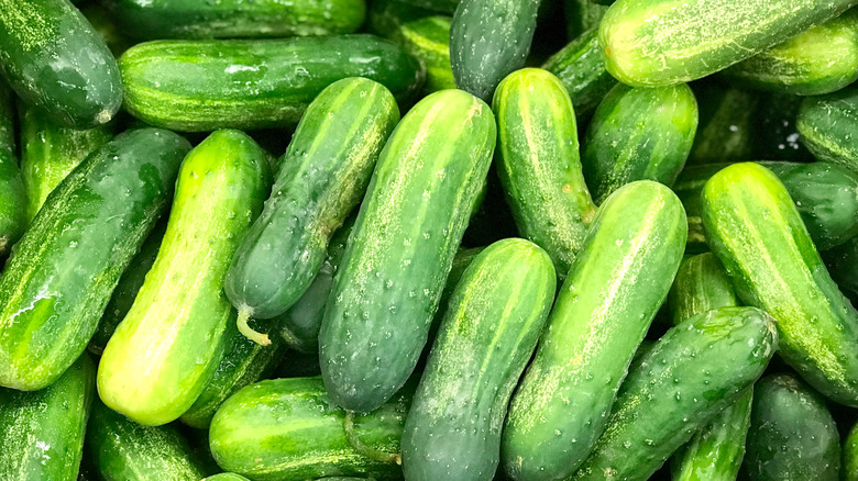 Fresh kirby cucumbers