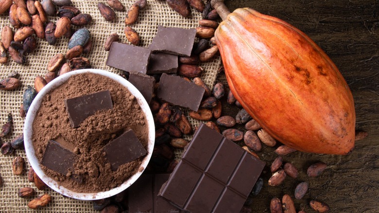 Dark chocolate pieces, cacao beans, and a cacao pod