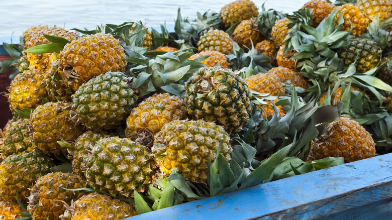 pineapples on boat