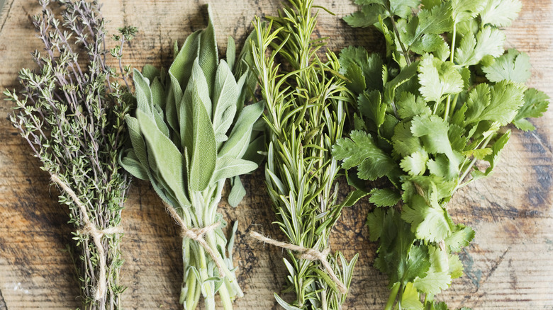 Fresh herbs on cutting board