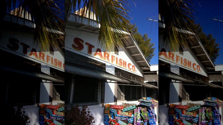 Exterior shot of Star Fish Co. restaurant sign in Florida