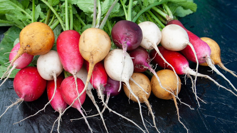 Colorful radishes