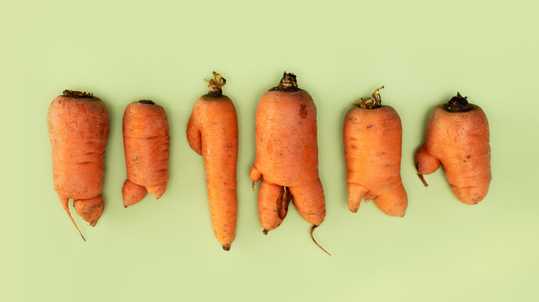 row of ugly carrots on green background