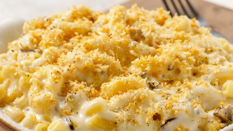 breaded macaroni and cheese 