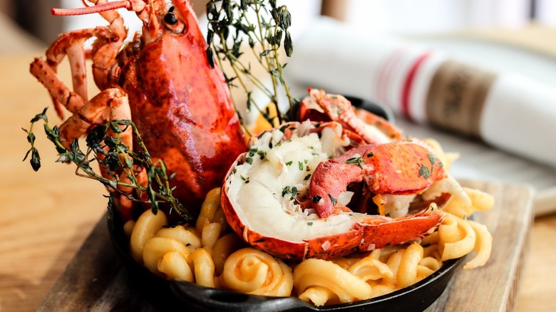 lobster mac and cheese dish