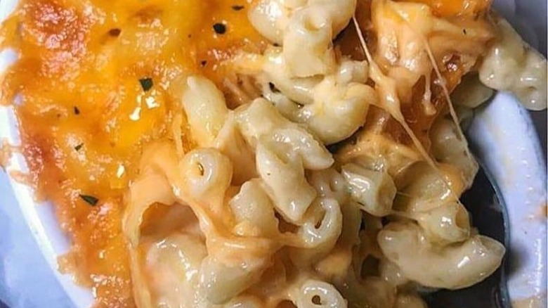 creamy macaroni and cheese