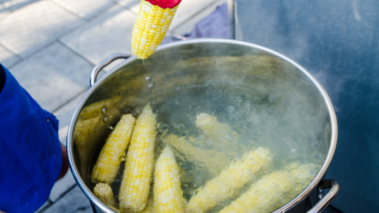 Boiling corn on the cobs