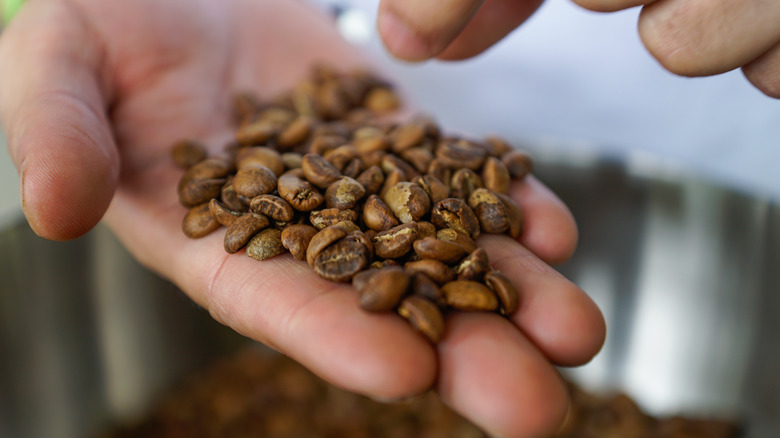 A person holding coffee beans.