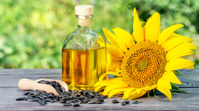 Sunflower and sunflower oil