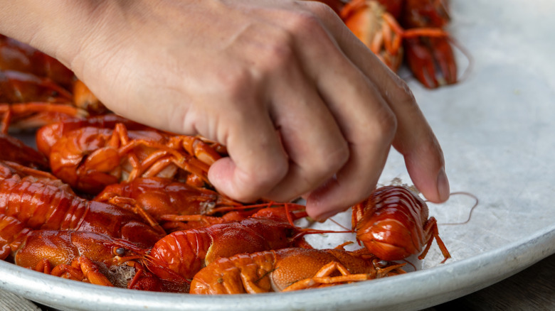 A plate full of freshly cooked crawfish