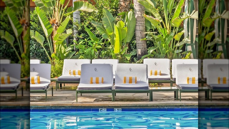 Poolside lounge chairs