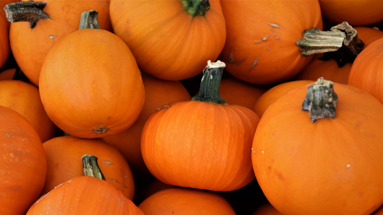 Close-up of whole sugar pumpkins