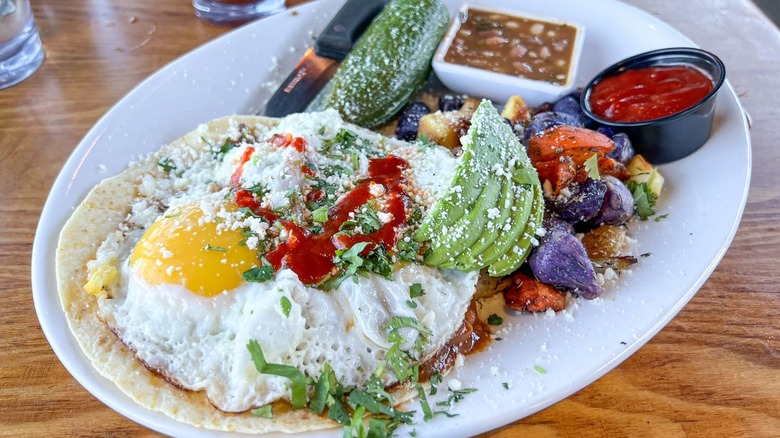 eggs and avocado on white plate