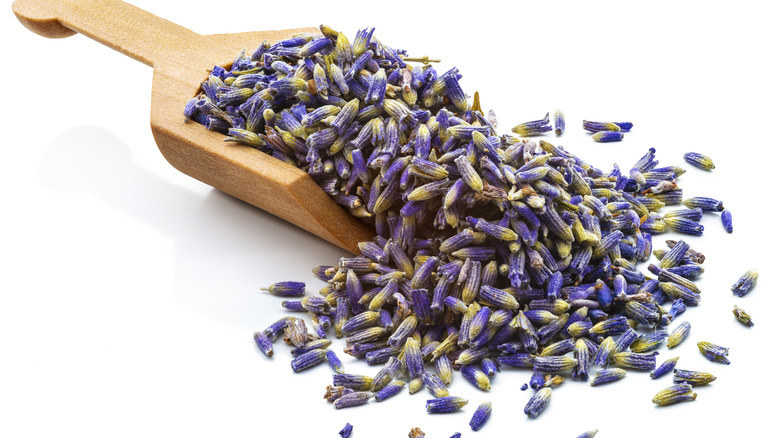 dried lavendar flowers spoon 