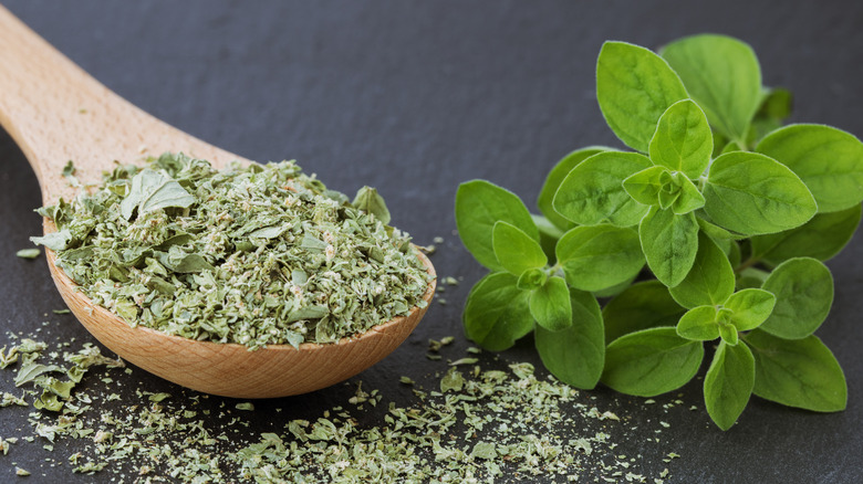 dried oregano in spoon 