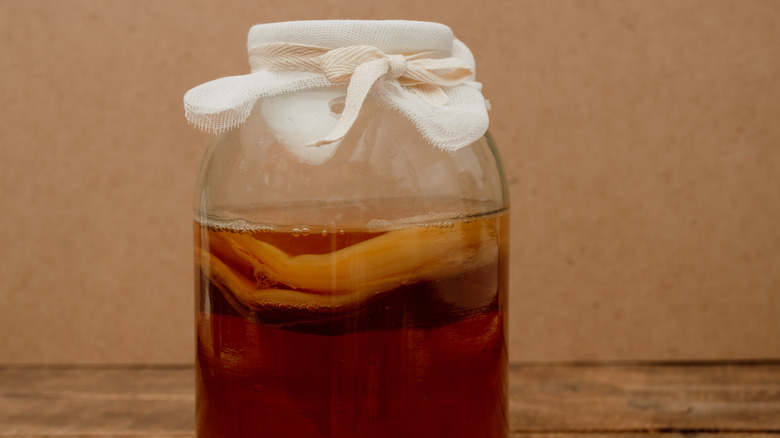 SCOBY in fermenting Kombucha jar.