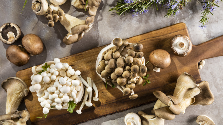 various mushrooms on wooden board