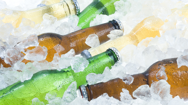 beer bottles on ice