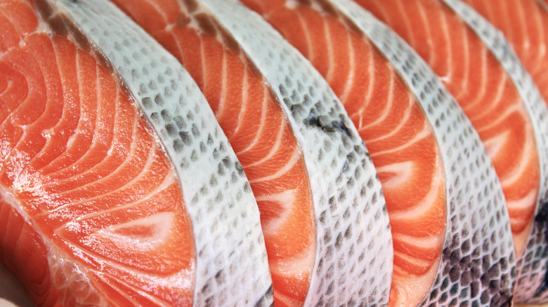raw salmon filets