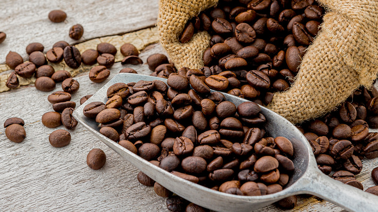 Coffee beans in scoop