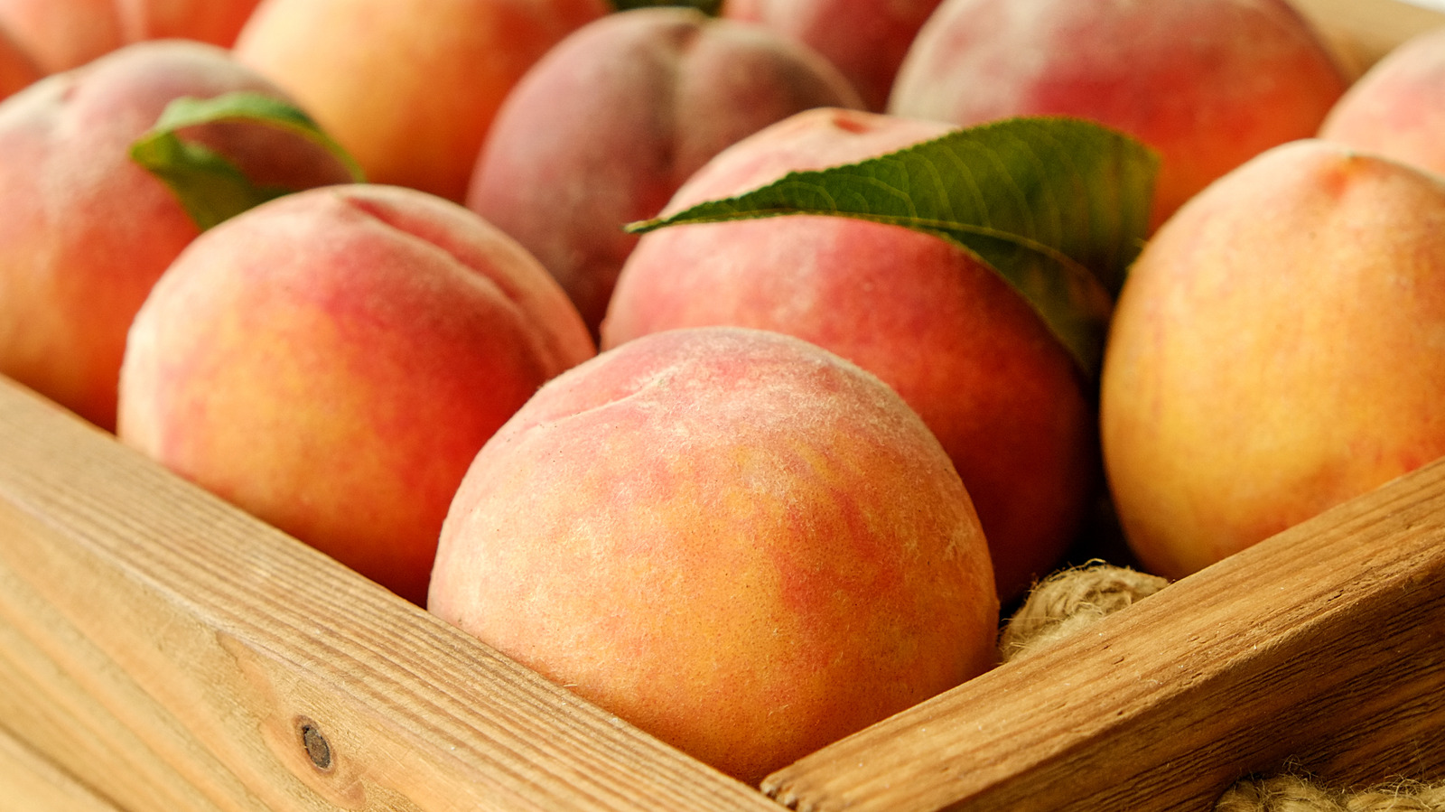 All About Peaches: The Differences Between White and Yellow Peaches,  Clingstone and Freestone Peaches