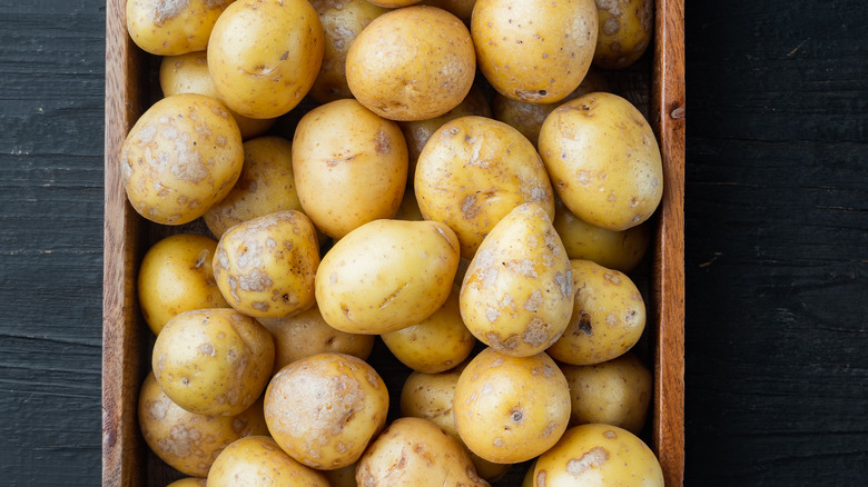 baby round potatoes