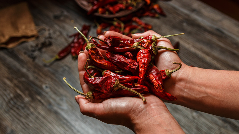 Dried red chile peppers.