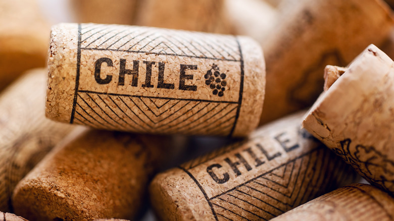 wine cork labeled Chile