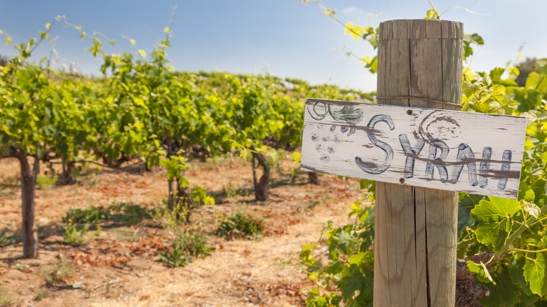 Syrah sign