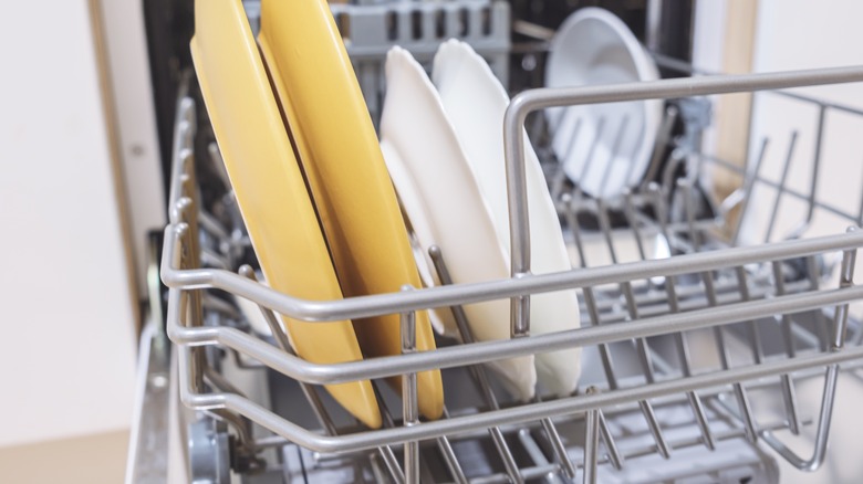 Low view of open dishwasher 