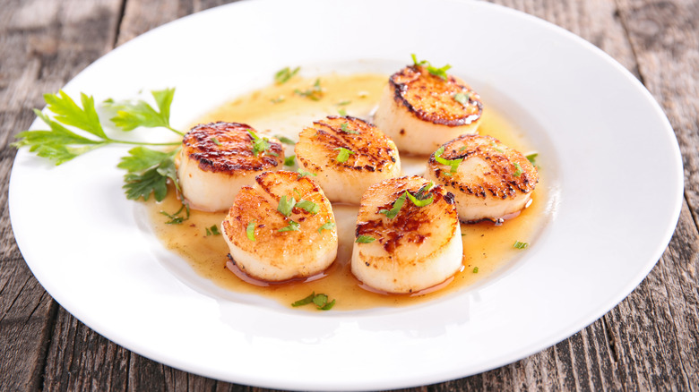 Scallops on plate 