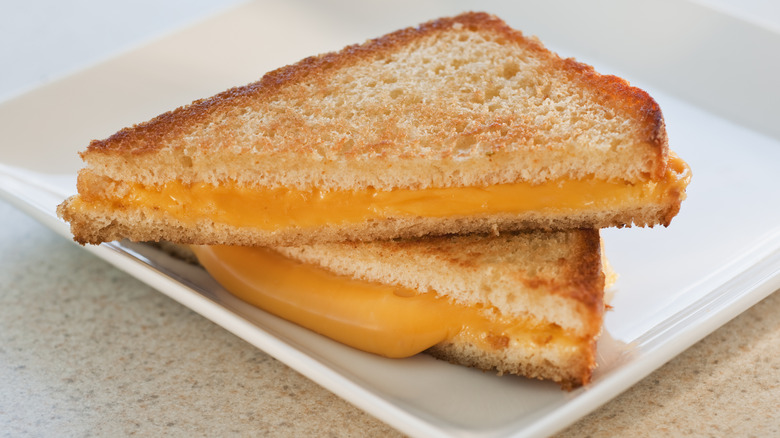 A homemade grilled cheese on a plate