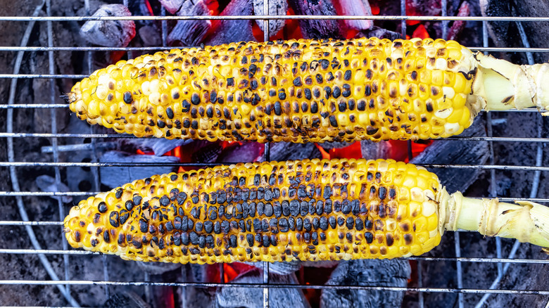 Corn cobs on grill