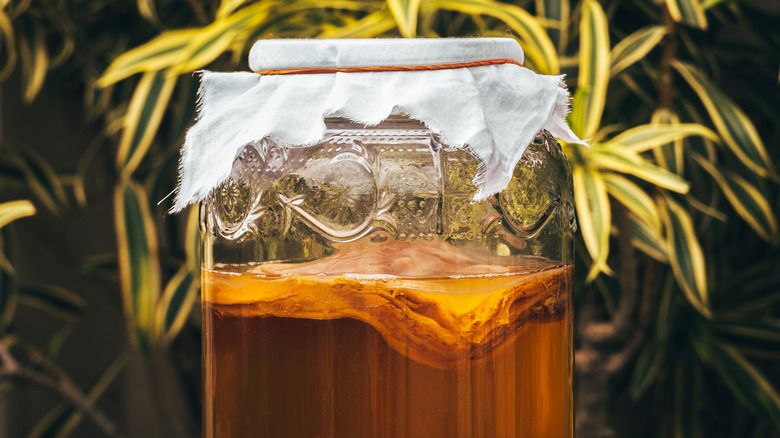 Kombucha jar with floating SCOBY.