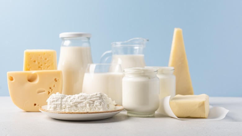 Assortment of dairy products.