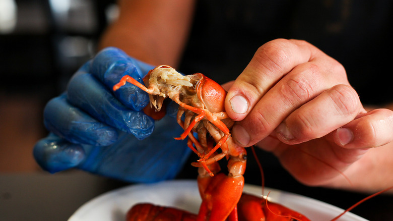 removing head off shrimp