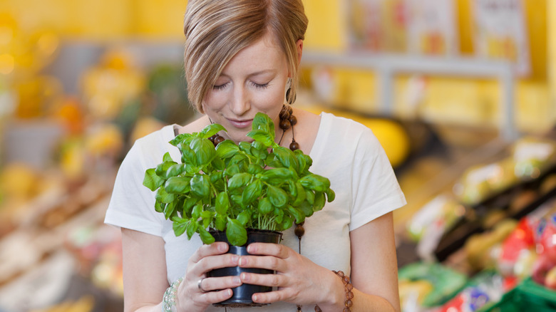 woman smelling fresh basil at grocery store