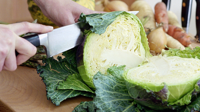 chopping cabbage on cutting board