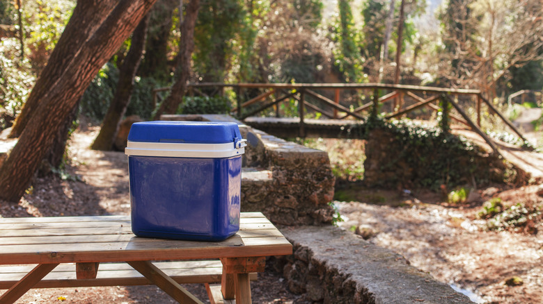 cooler for camping