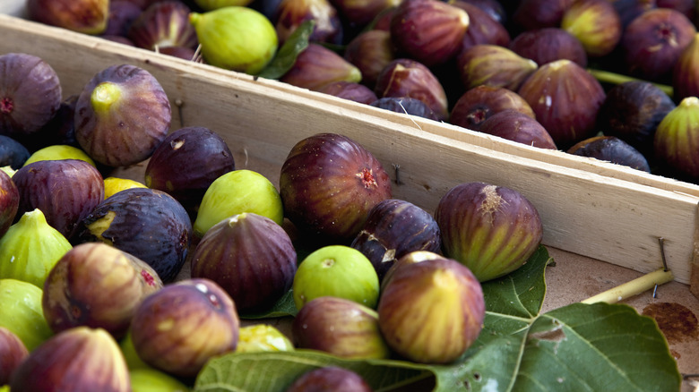 Crate of freshly picked figs