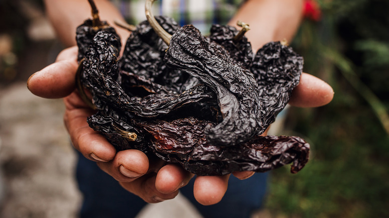 dried chilis