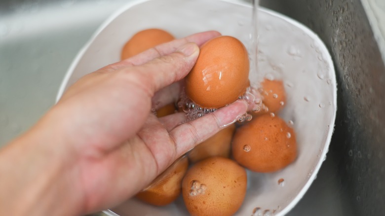 Hand holding egg under water