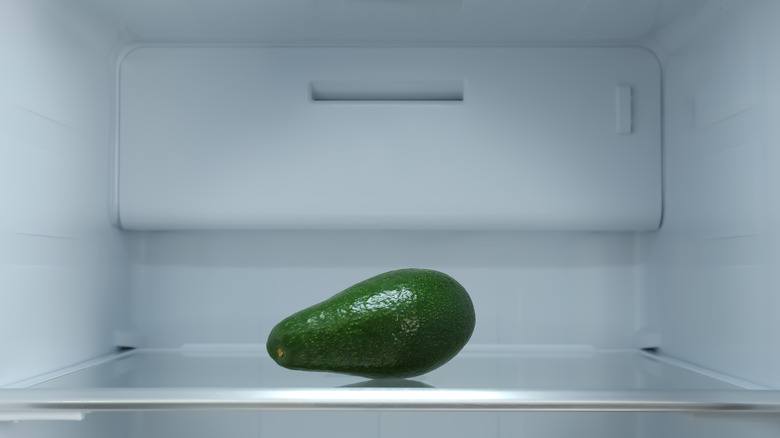 avocado sitting in freezer