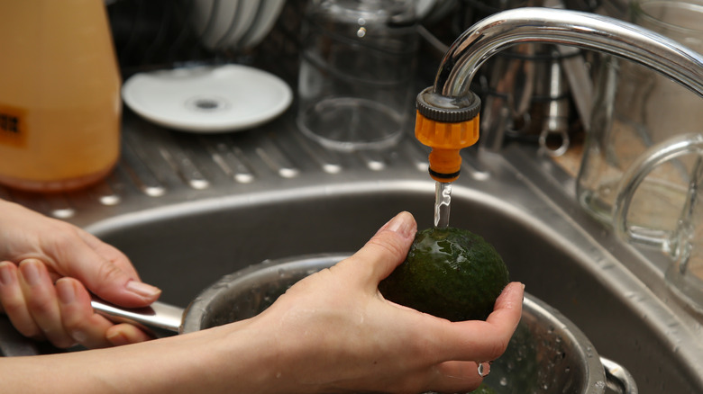 filling up bowl with water and avocado