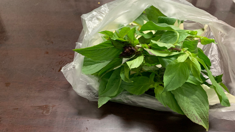 basil in plastic bag