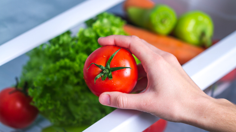 pulling tomato from crisper drawer