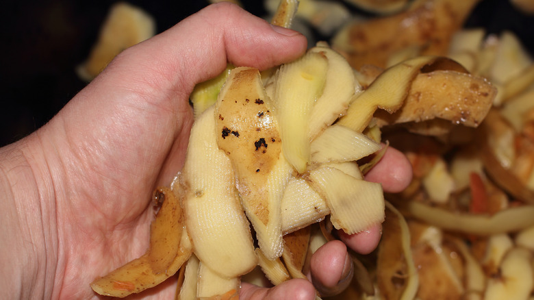 Hand holding potato peelings