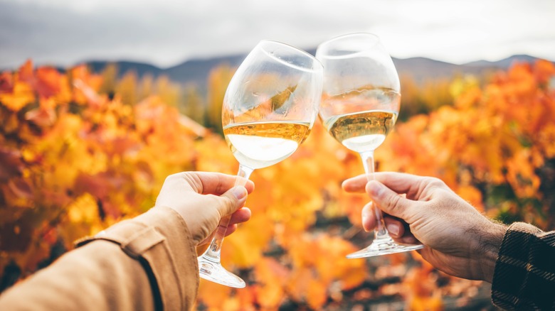 Hands cheersing two white wine glasses in front of fall trees