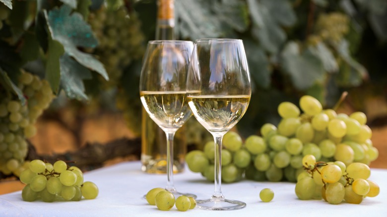 white wine with grapes