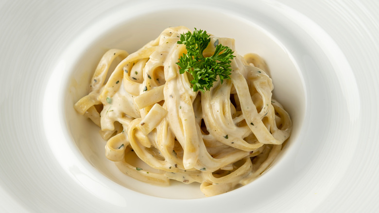 closeup fettuccine Alfredo dish